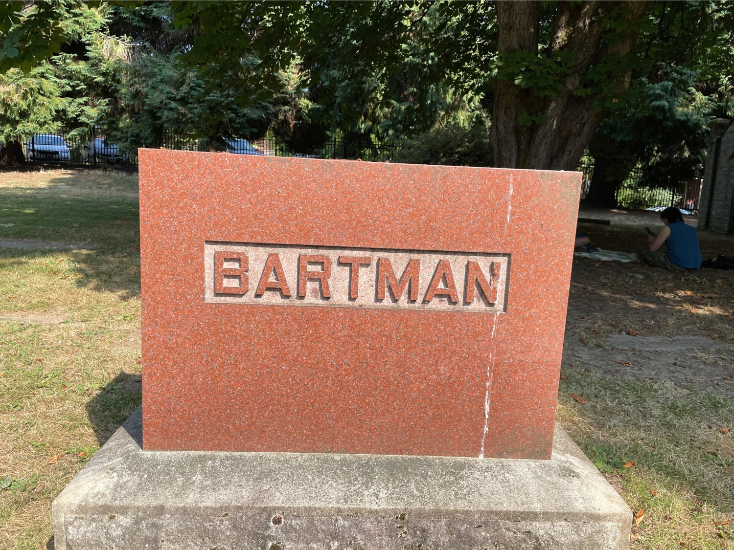 Do the bartman…