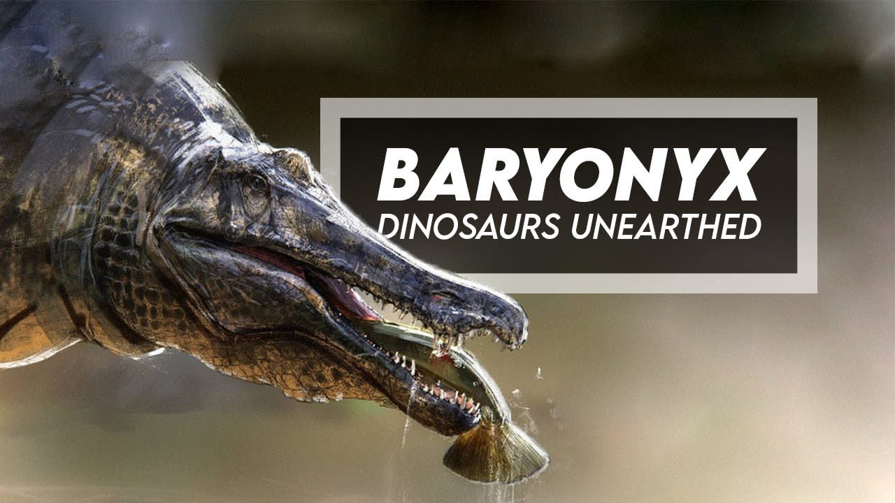 A Detailed Documentary on Baryonyx, a spinosaurid that was 29.5 feet (9 m) long. The partially-digested remains of the ancient fish Lepidotes were found within its stomach area, making it the first theropod dinosaur shown to have been piscivorous.