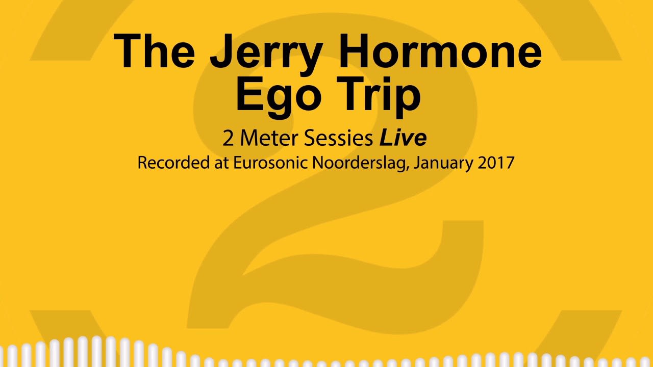The Jerry Hormone Ego Trip | 2 Meter Session Live | 2 songs