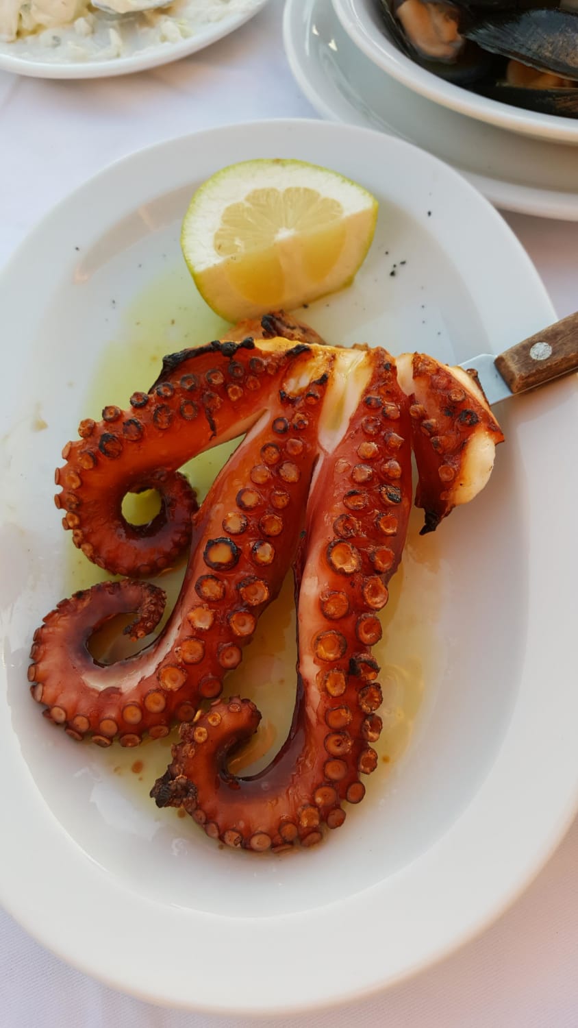 Best octopus of my life. Eaten in Chania, Crete, Summer 2017.