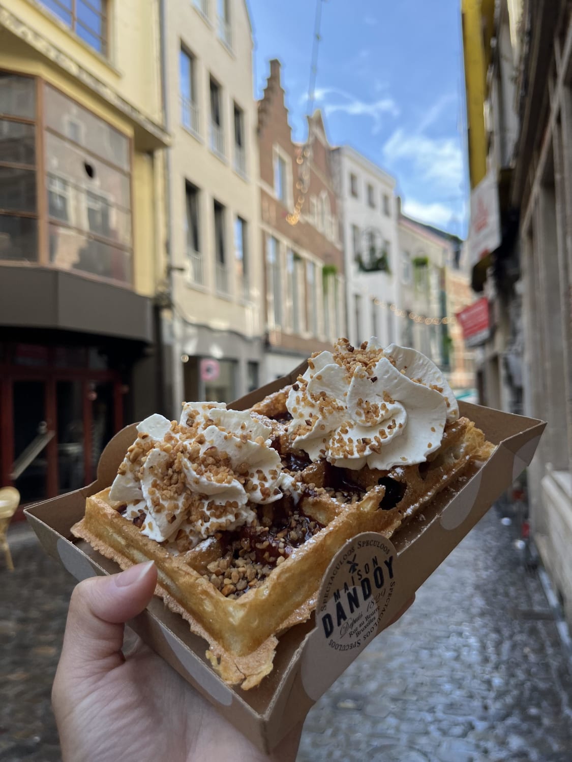 [i ate] a belgian waffle with chocolate, whipped cream, and candied hazelnuts