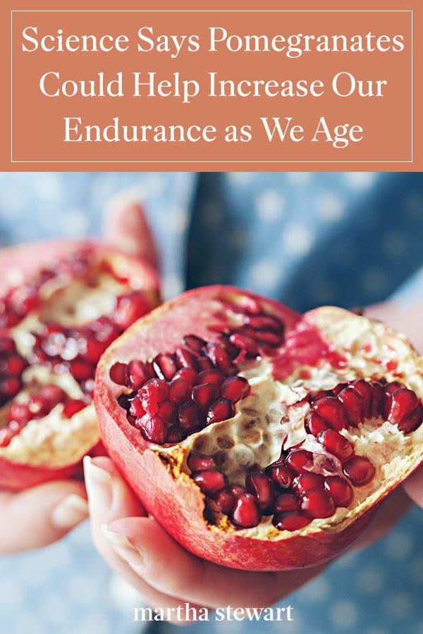 Science Says Pomegranates Could Help Increase Our Endurance as We Age