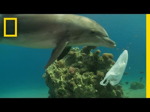 How We Can Keep Plastics Out of Our Ocean | National Geographic