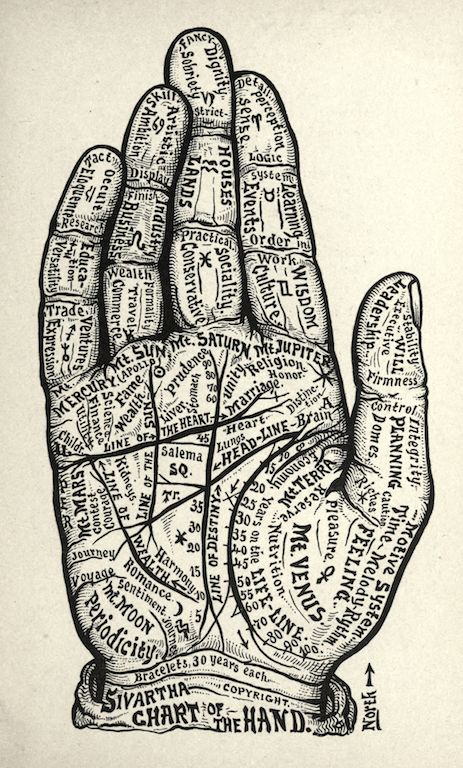 Chart of the Hand.⠀ ⠀ From Dr Alesha Sivartha's enigmatic 1898 work titled The Book of Life: The Spiritual and Physical Constitution of Man. More images from the book: https://t.co/btAOMc9GZ8 Prints for sale: https://t.co/d2m8cTHWry And please... WASH YOUR HANDS!