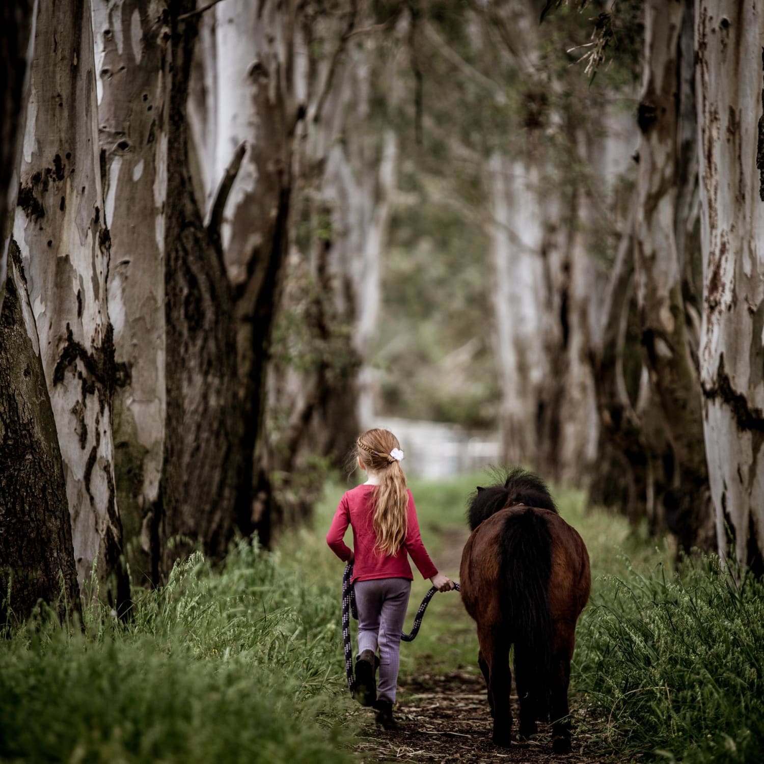 ITAP of my niece and her pony