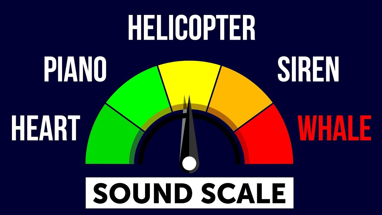The Quietest and Loudest Sounds in the World