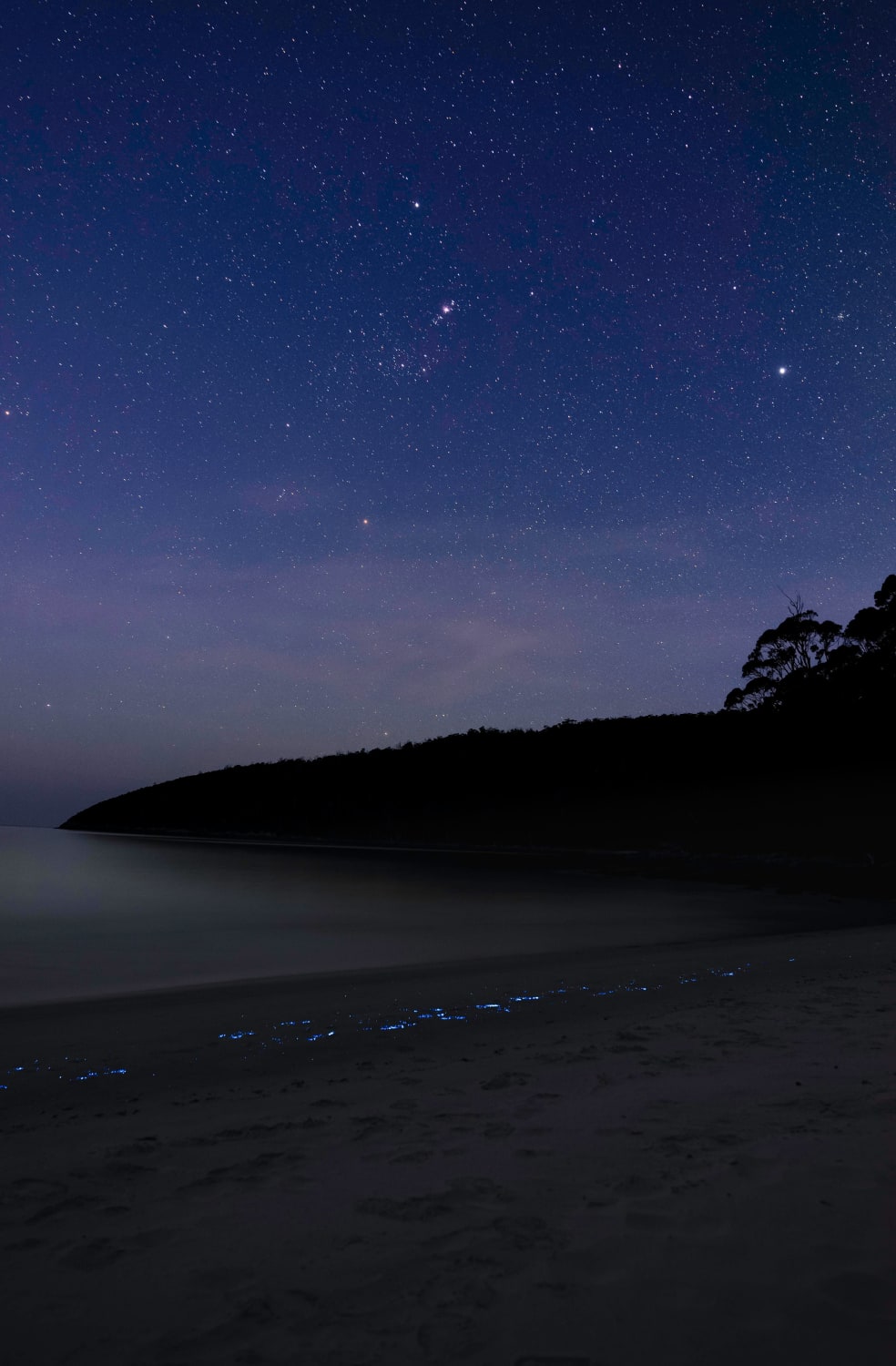 Orion and Bioluminescent Algae in Tasmania