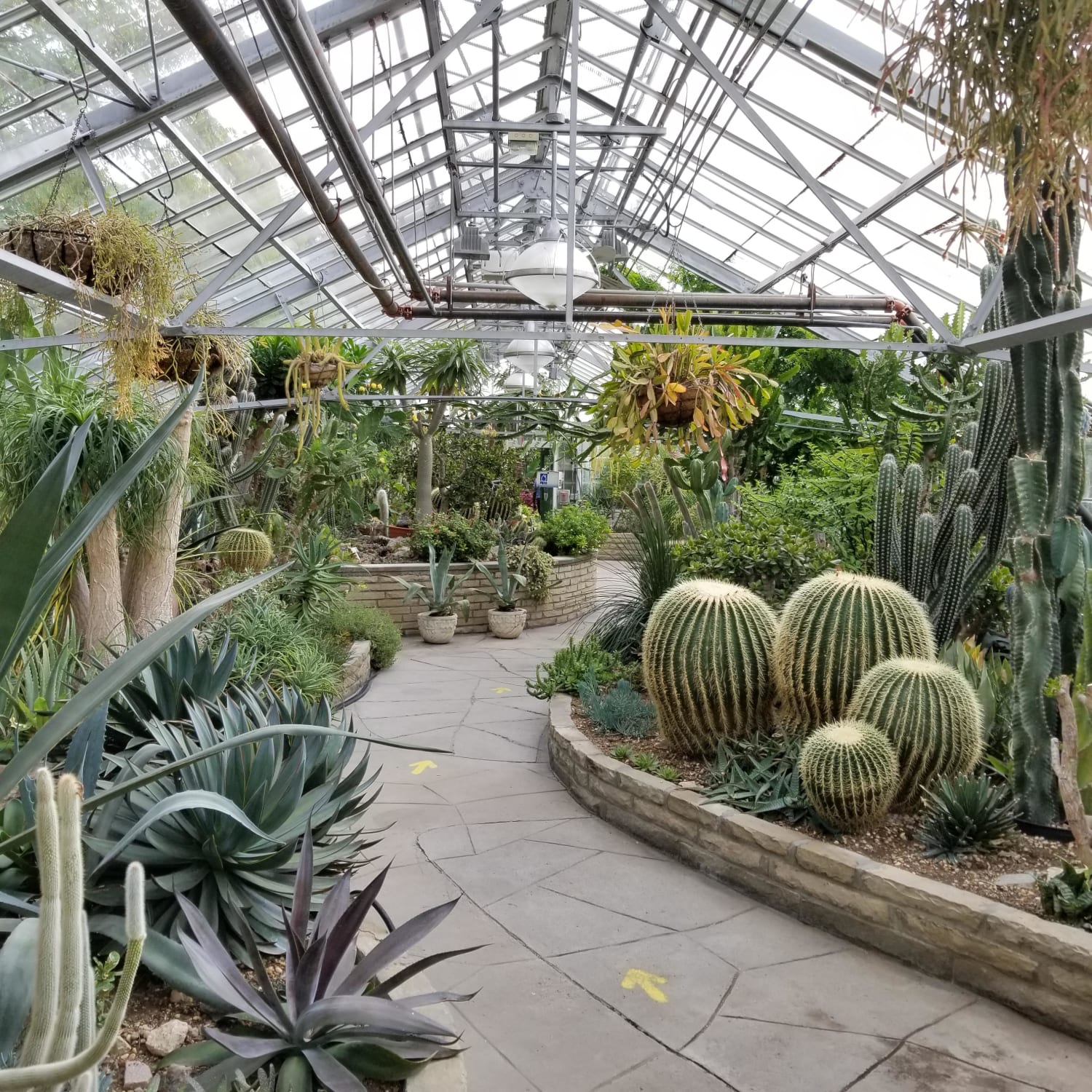 I went to the Allan Gardens conservatory (in Toronto, Canada) this morning. Thought you would appreciate this :)