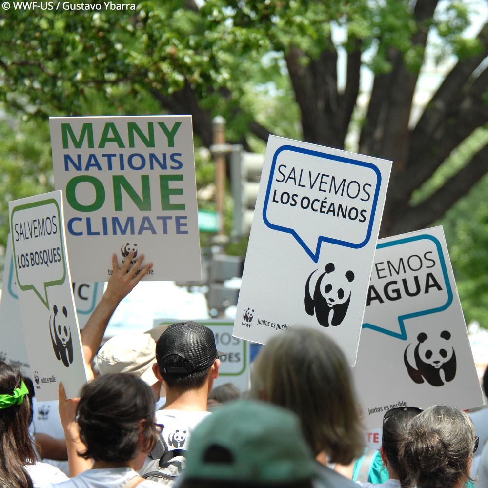 We have just over a decade to curb global emissions and limit the worst impacts of the #climatecrisis. On September 20 we will be in New York participating in the FridaysForFuture mobilization. Join us to demand stronger climate action. Register now: