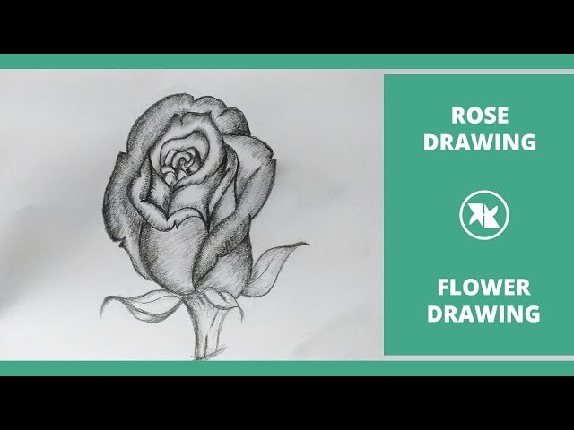 Mix How To Draw Rose Step By Step Easy Drawing For Kids
