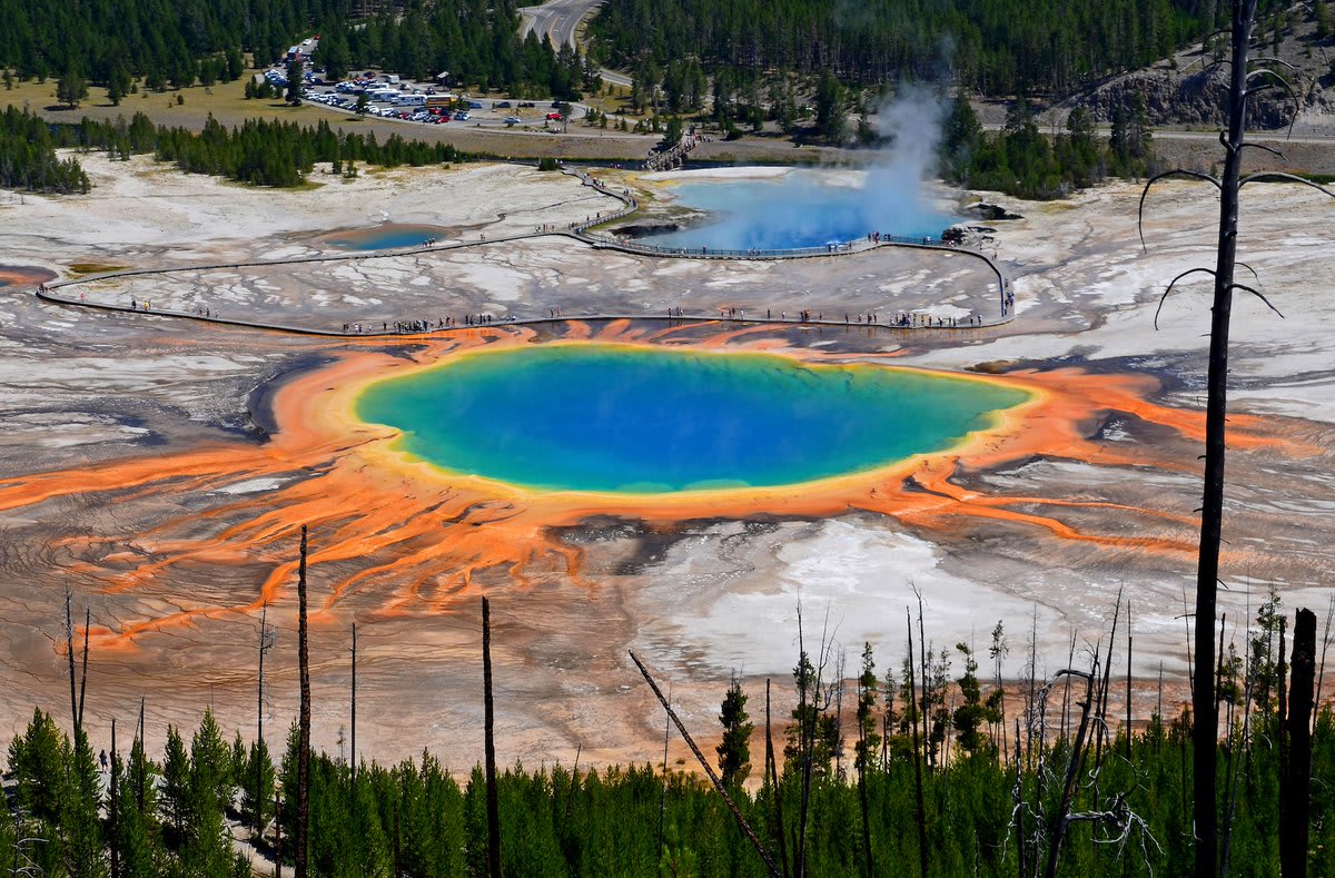 Ever seen the Grand Prismatic Spring at @YellowstoneNPS? Each ring of color represents different microbial communities. Entire food chains depend on bacteria that live in the near-boiling water from local geysers & hot springs, enduring temps up to 175˚F (79˚C)! [📸: C. Bardot]