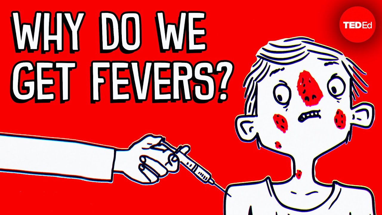 Why do you get a fever when you're sick? - Christian Moro