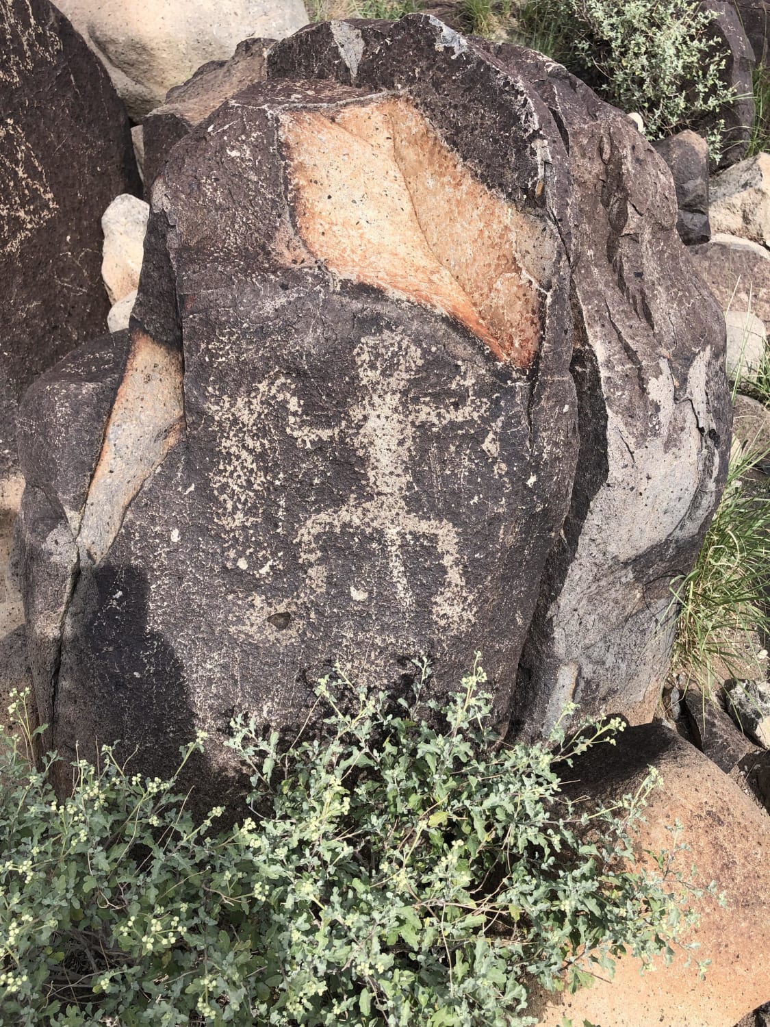 One of the petroglyphs I found at the Three Rivers petroglyph site in New Mexico.