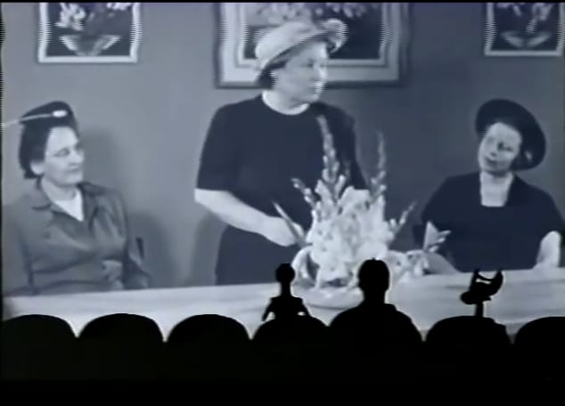 “…subject is flowers, one of which I am particularly fond.” Servo: Poppies. ** A reference to a scene in the 1939 film The Wizard of Oz, wherein the Wicked Witch of the West, while cackling “Poppies. Poppies will make them sleep... ** MST3K #313 ~ Earth vs. the Spider