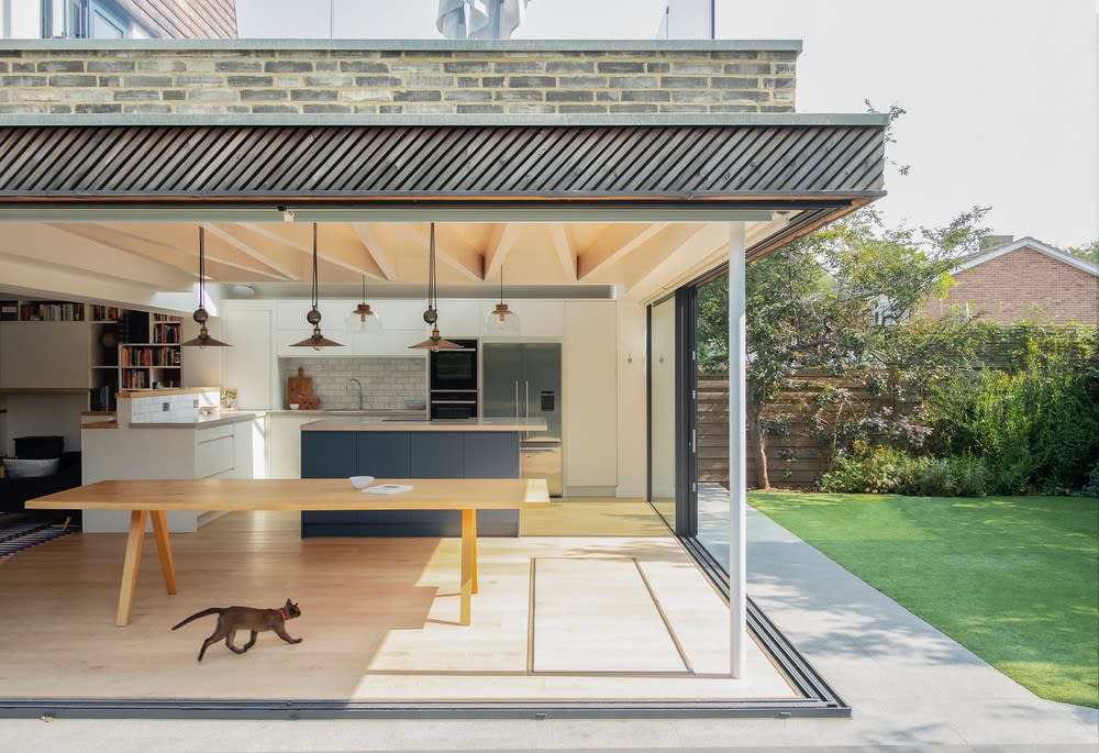 delightful warm wood tones in this light home extension and refurbishment in London, the cat is not shy!