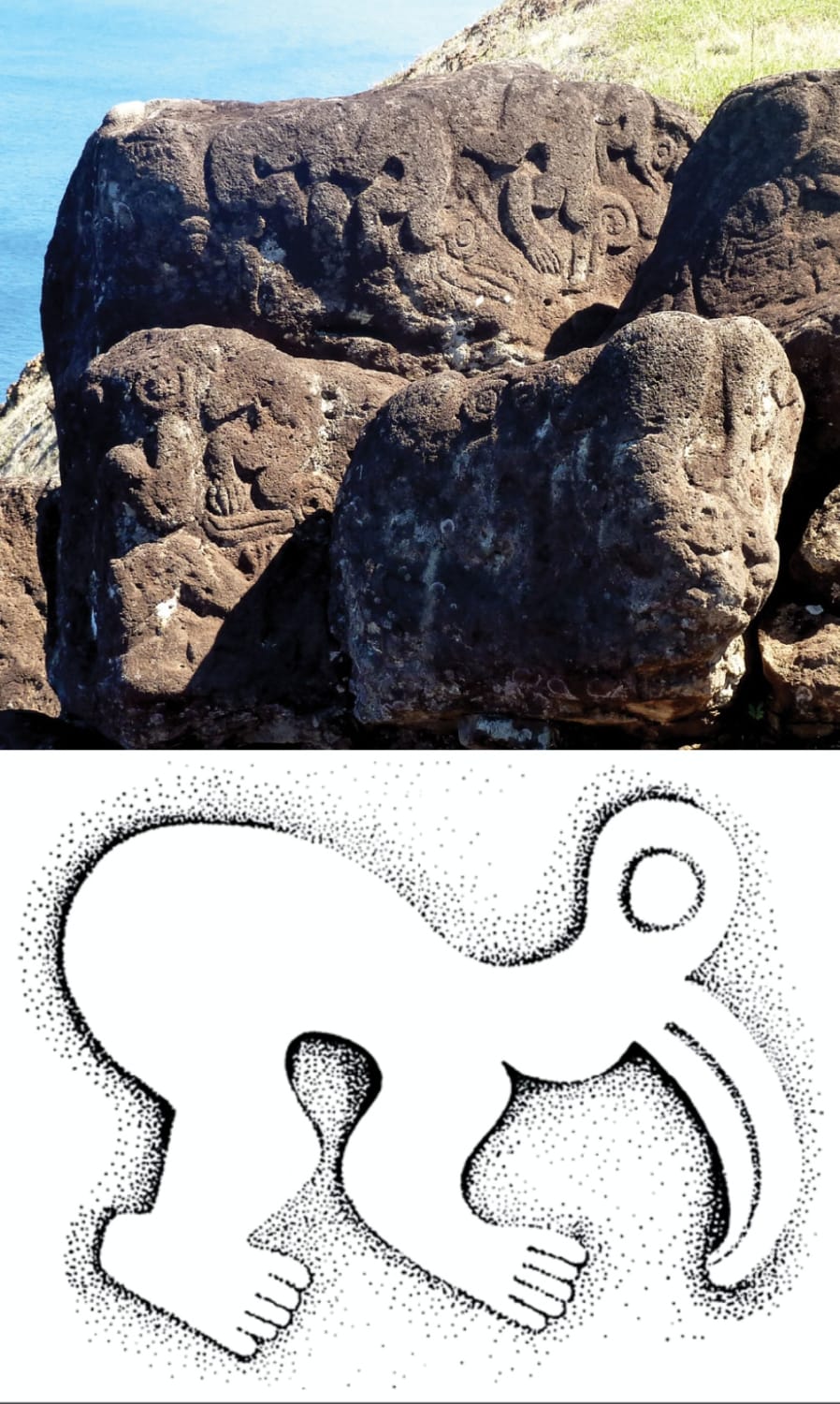 Old petroglyphs of Birdmen in Easter Island, which were probably carved to commemorate some of the winners of Tangata manu, an annual competition to collect the first sooty tern egg of the season from the islet of Motu Nui, in a very dangerous race where many contestants were killed