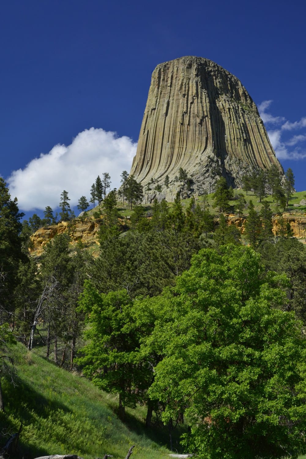Stories shared by Tribal communities, especially those of the Great Plains & Black Hills region, indicate that the Tower was & still is a sacred site. Connections to this place are as important today as they were for generations before it became Devil’s Tower National Monument.