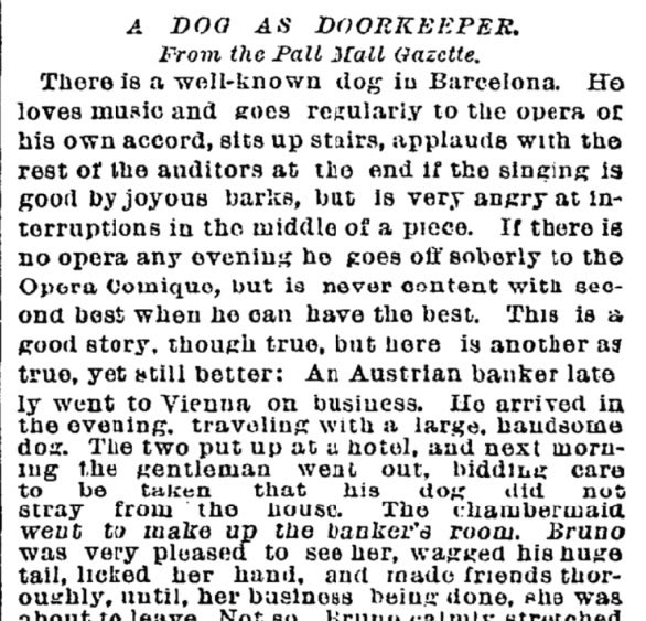 1889: The Times reported on a music loving dog in Barcelona who regularly went to the opera of his own accord, barked with appreciation at the end if the singing was good and became very angry at interruptions in the middle of a piece.