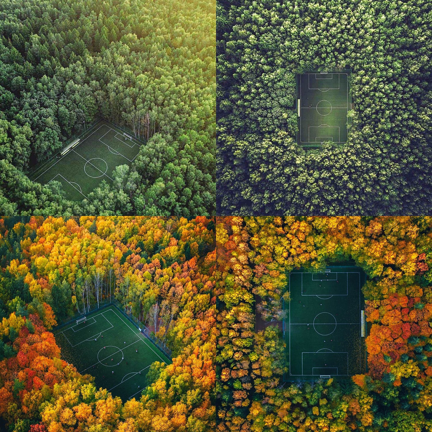 Forest Soccer Field in Moscow, Russia (summer vs autumn)