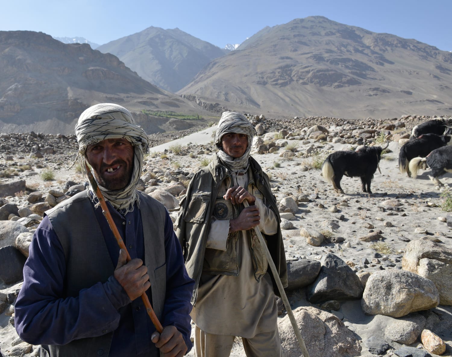 Two Afghan Shepherds