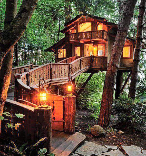 I'm in love with this treehouse!