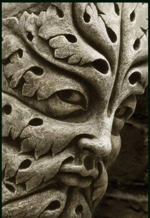 Close detail of "The Green Man”, 1200's AD, Early Gothic, Bamberg Cathedral, Germany.
