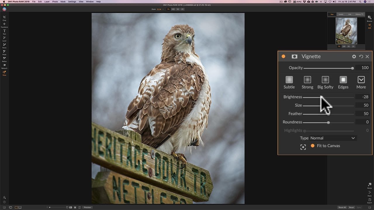 Processing a Wildlife Photo in On1 Photo RAW 2019