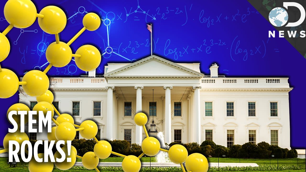 DNews Invades The White House Science Fair