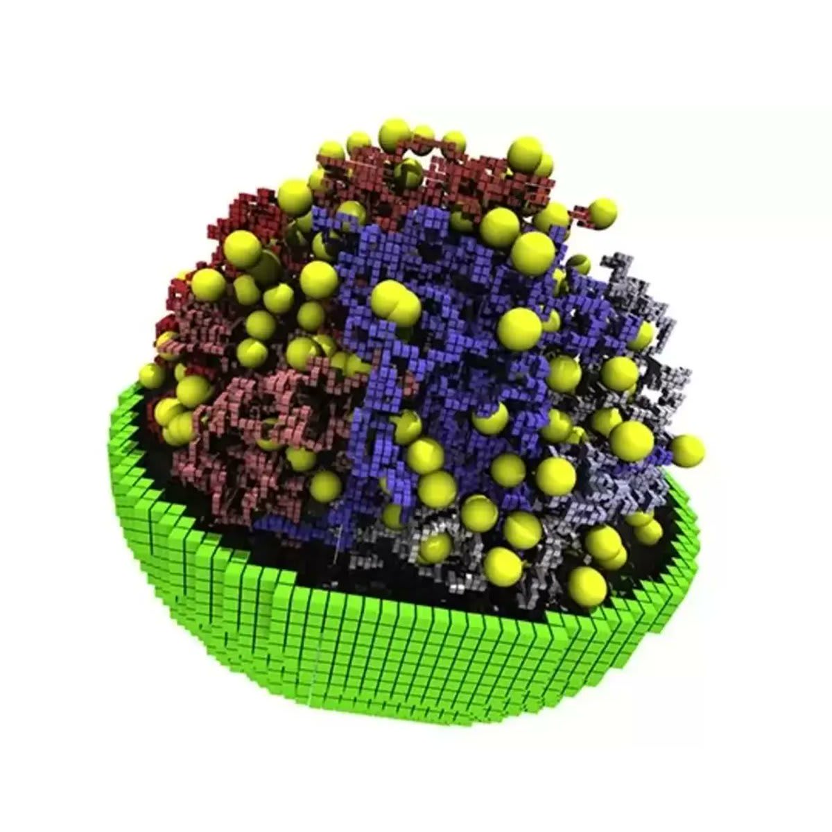 Is it just us, or does this model of a simplified cell look like a delicious cupcake?  This three-dimensional, fully dynamic kinetic model of a living minimal cell mimics what goes on in the actual cell. More here: https://t.co/YVMrj41Eu6  Luthey-Schulten et al 2022