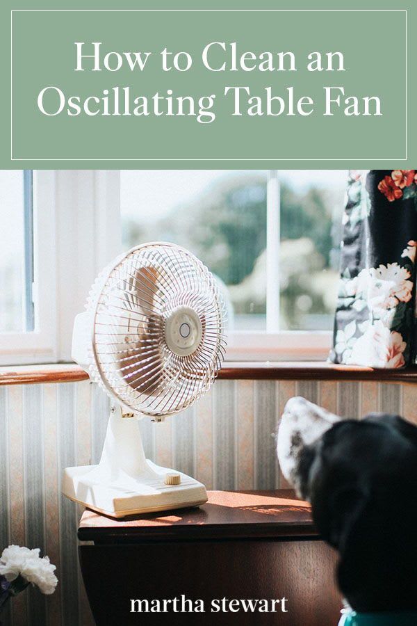 How to Clean an Oscillating Table Fan