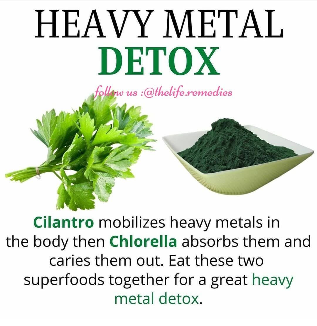 Home Remedies | Health Tips on Instagram: “Cilantro and chlorella. There are many heavy metals people are exposed to regularly including mercury, aluminum and copper. These metals…”