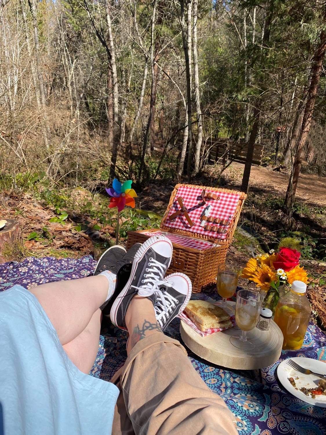 My girlfriend and went on a picnic and it was glorious. And if it wasn't gay enough we brought a rainboe pinwheel. 🏳️‍🌈